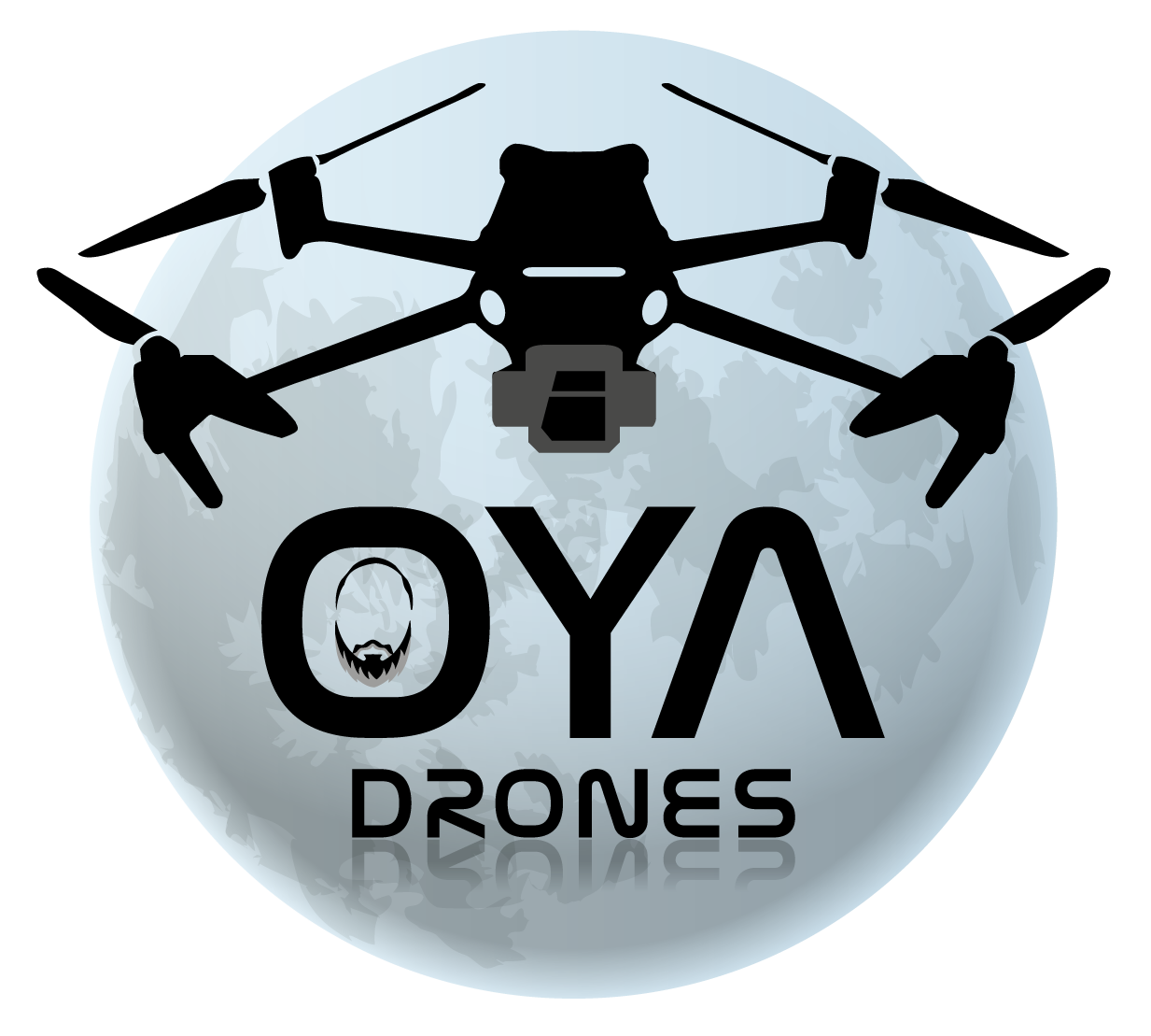 OYA Drones – Télépilote professionnel basé à Fontainebleau